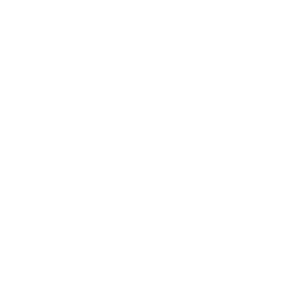ICONO CAMION