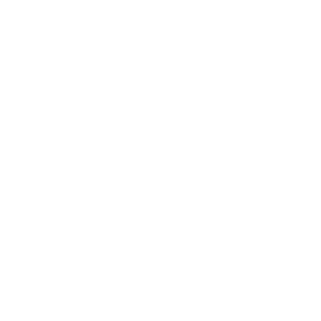 ICONO SEGURIDAD